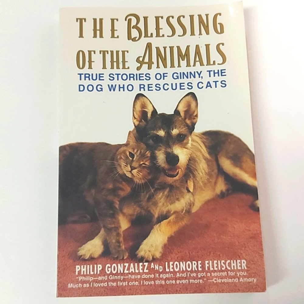 🐕Free add-on The Blessing of the Animals. True Stories A Dog Who Rescues Cats🐈